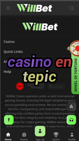 Casino En Tepic - Mexico's Nayarit Casino Scene-casinoorder.vip